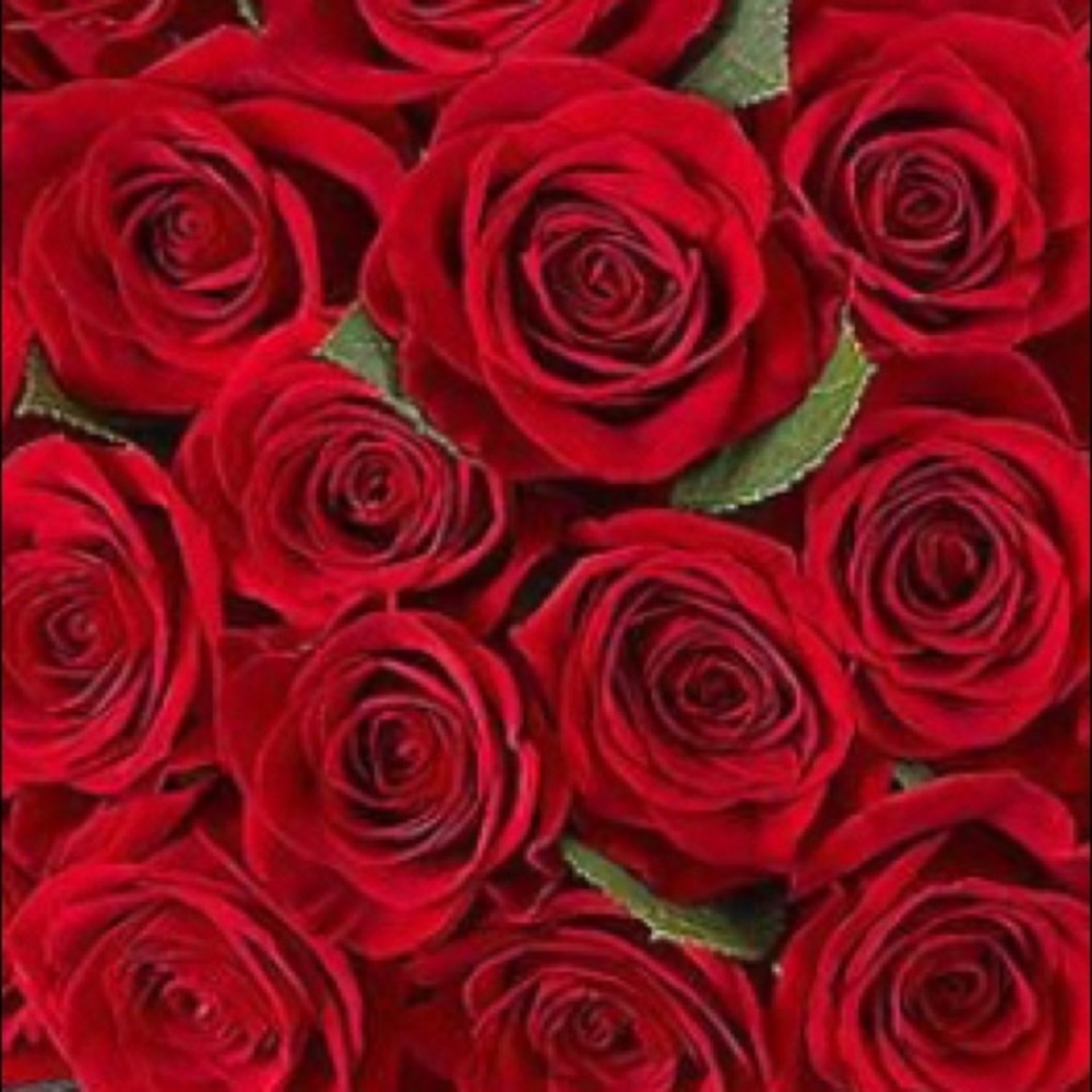 Meet your Posher, Sue